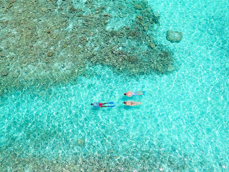 Best Dive Resorts Maldives Diving Embudu Village